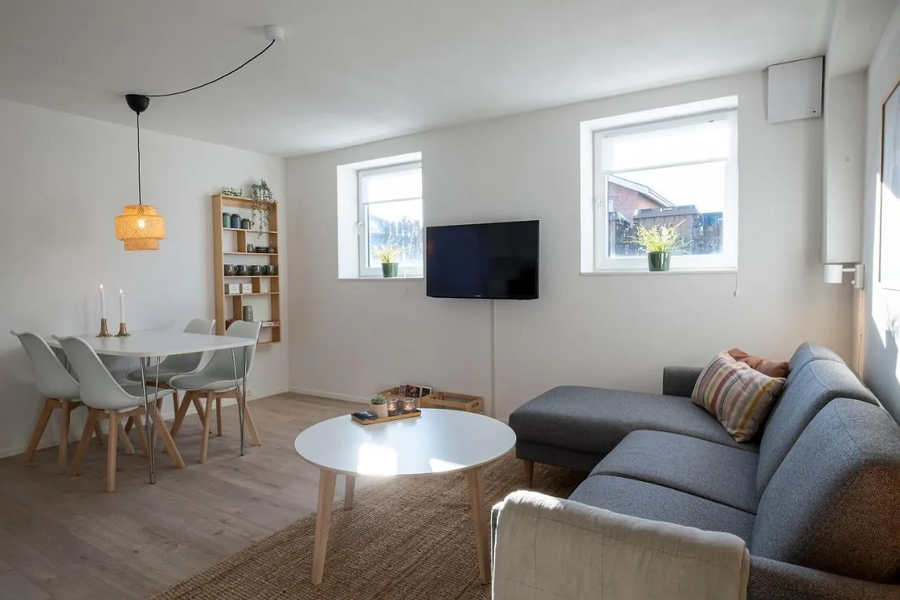 Newly Renovated 1-Bed Apartment In Aalborg Denmark